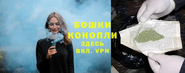 экстази Бородино