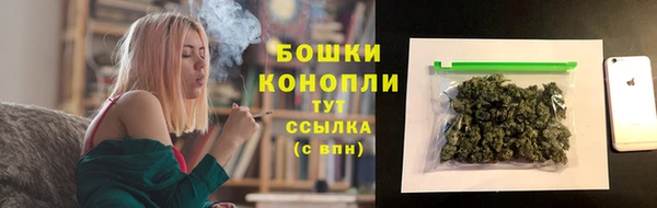 экстази Бородино