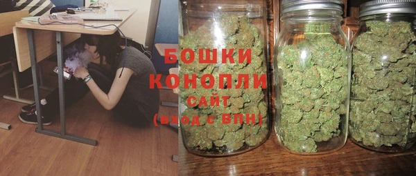 экстази Бородино