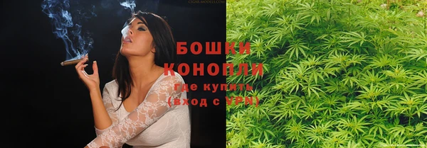 экстази Бородино